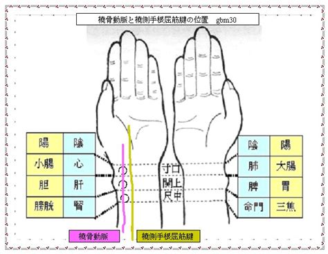 祖脈|六部定位脈診のやり方(四診法の切診)と臨床で出現し。